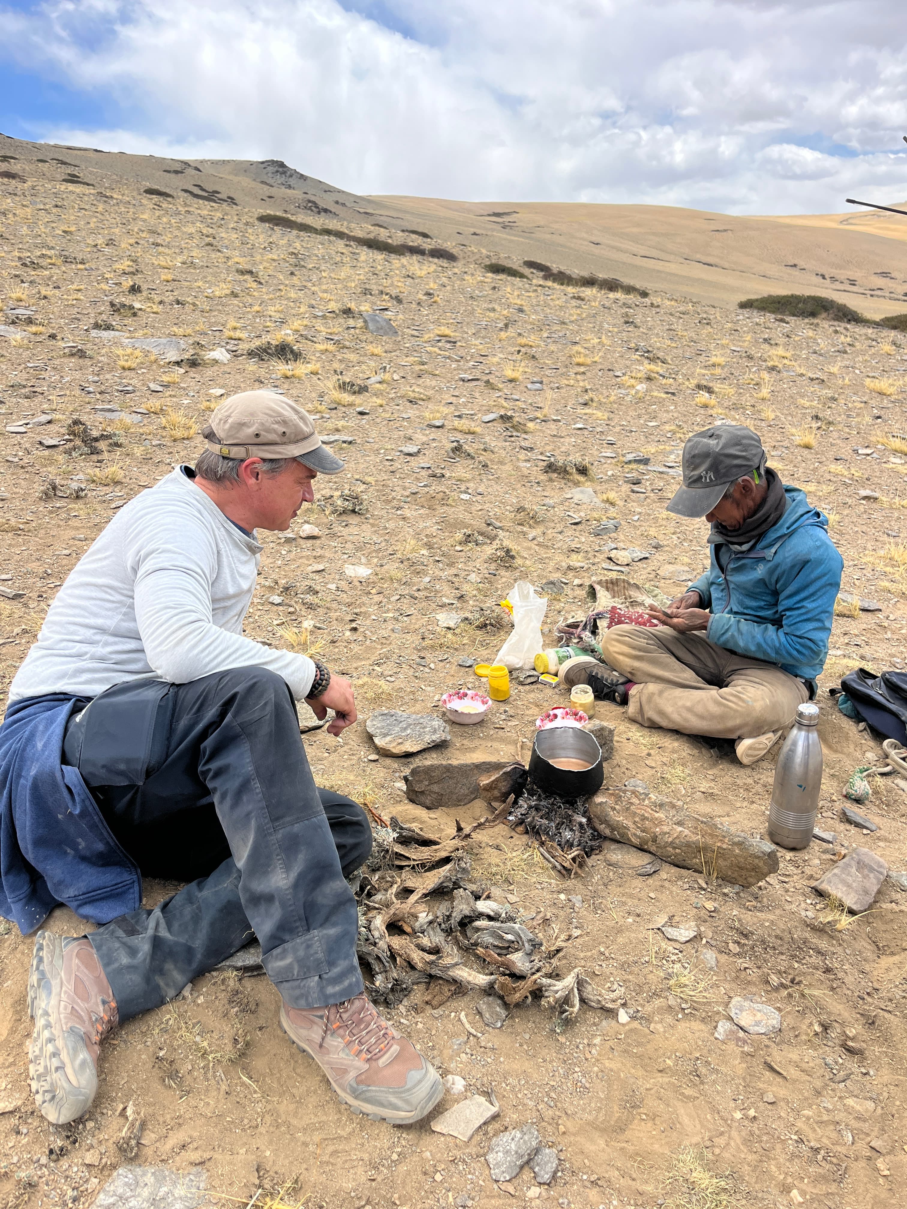 One Day Shepherd Experience