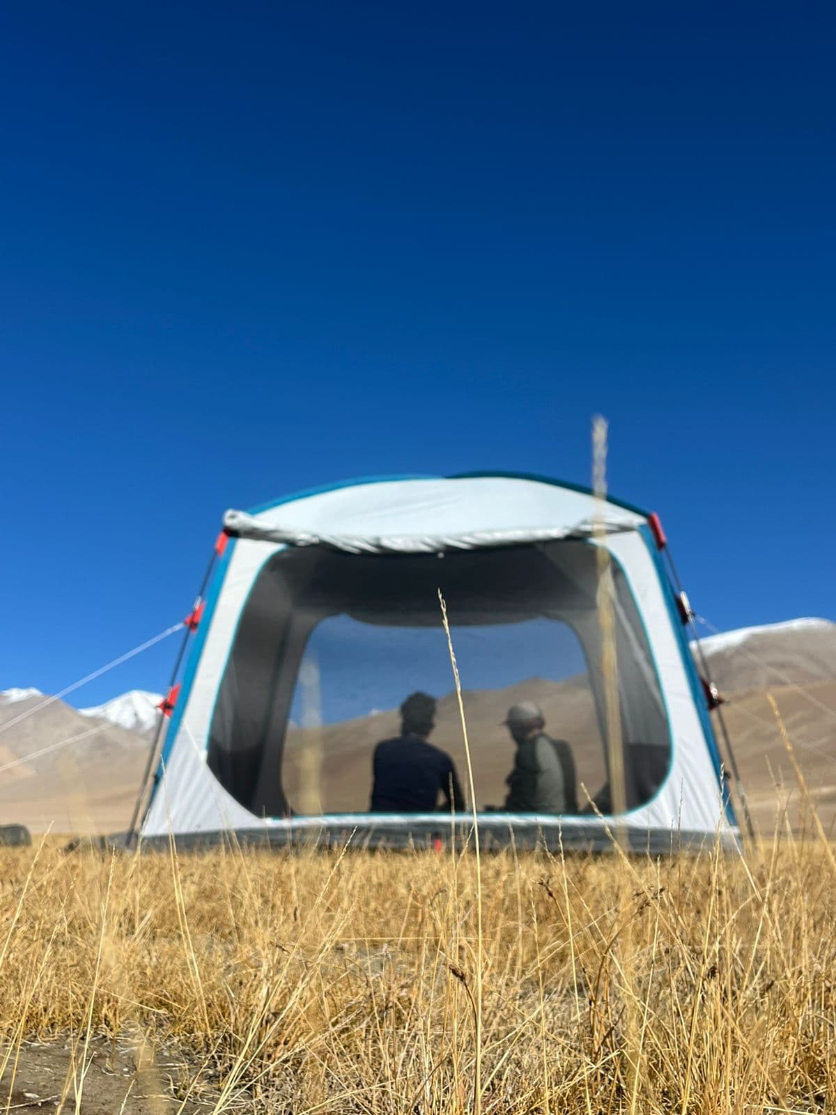 Our guests at the campsite