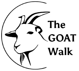 DestinFlow Brand Logo