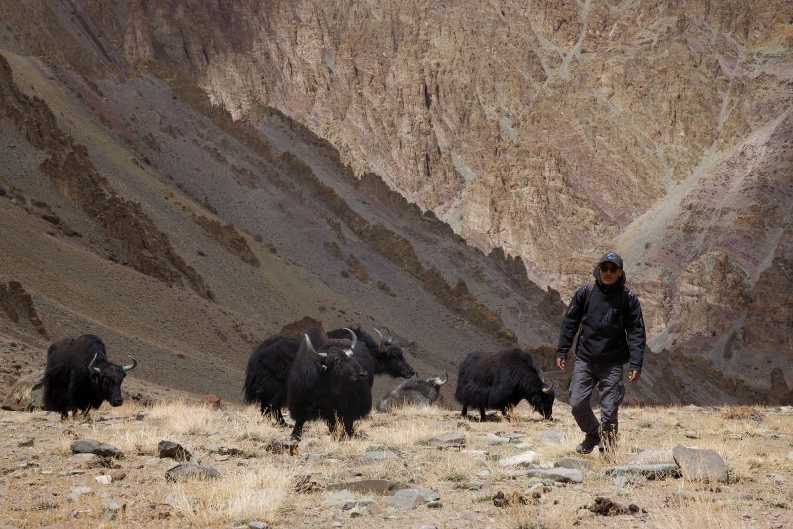 Yak Trek